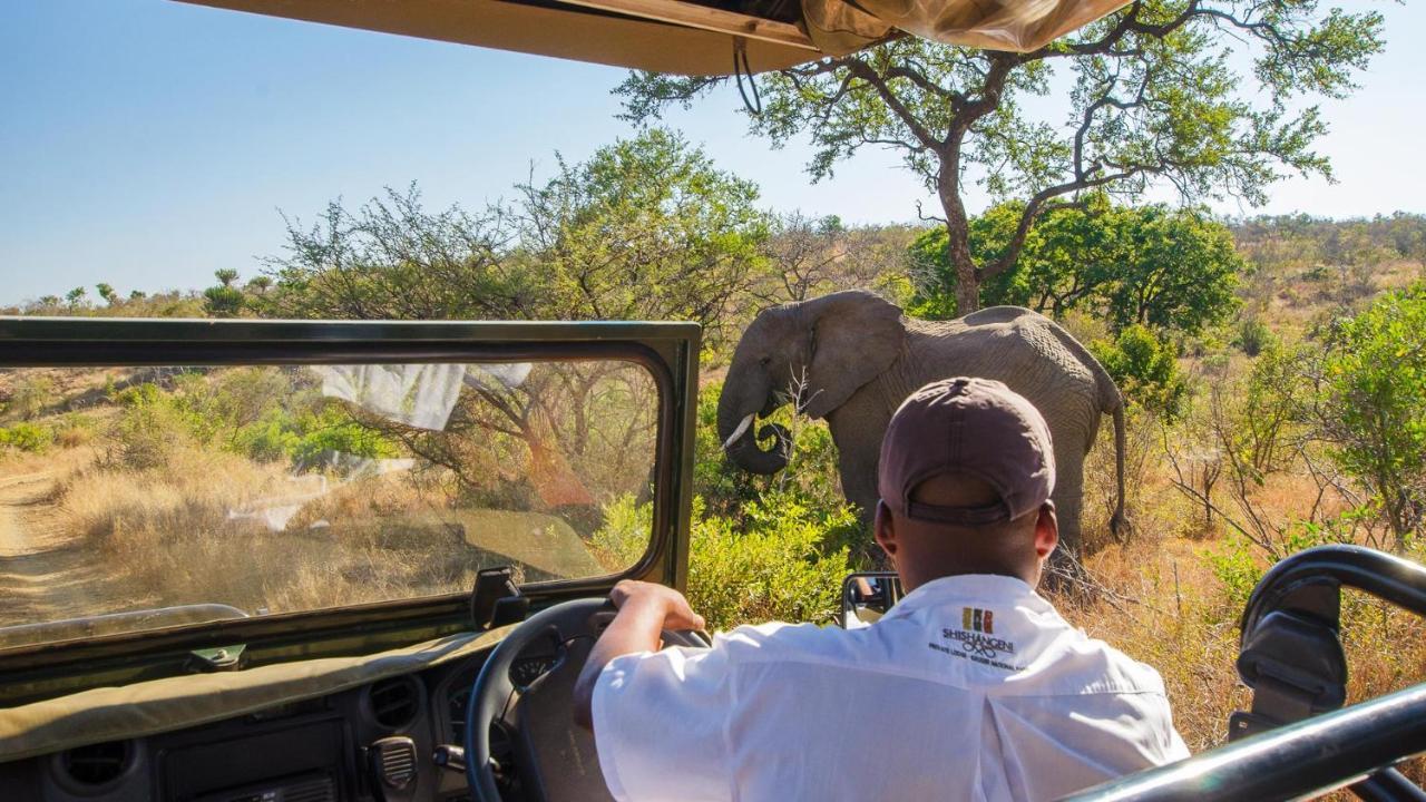 Shishangeni By Bon Hotels, Kruger National Park 코마티푸르트 외부 사진